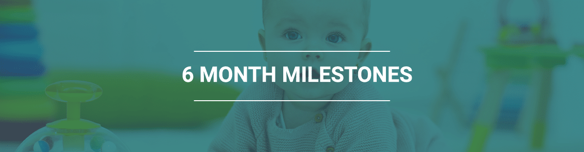 6 Month Milestones